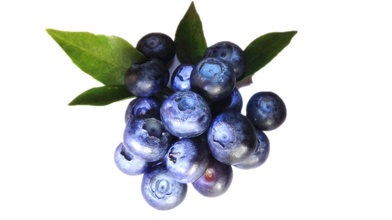 十大紫色蔬果排行榜  花青素 水果 蔬菜 排行榜 蓝莓 第1张