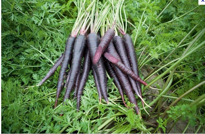 十大紫色蔬果排行榜  花青素 水果 蔬菜 排行榜 蓝莓 第6张