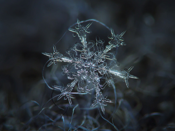 雪花图案收集者拍摄的精美雪花（图）  大自然 雪花 天气 科普 形状 摄影 第1张