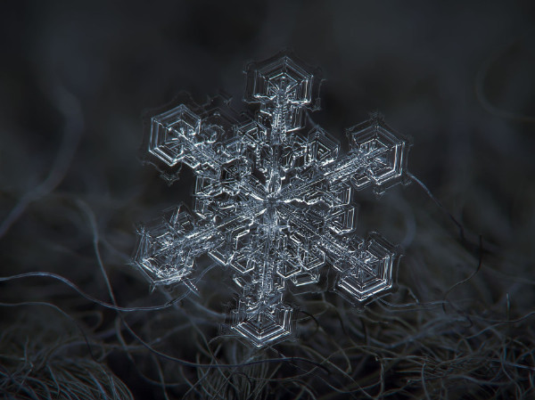 雪花图案收集者拍摄的精美雪花（图）  大自然 雪花 天气 科普 形状 摄影 第2张