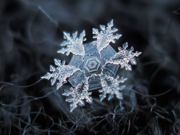 雪花图案收集者拍摄的精美雪花（图）  大自然 雪花 天气 科普 形状 摄影 第3张