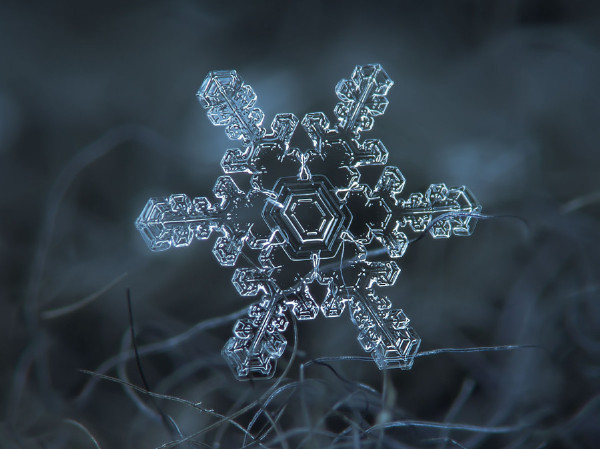 雪花图案收集者拍摄的精美雪花（图）  大自然 雪花 天气 科普 形状 摄影 第4张
