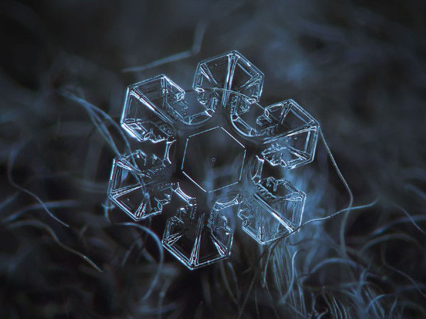 雪花图案收集者拍摄的精美雪花（图）  大自然 雪花 天气 科普 形状 摄影 第6张