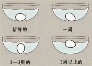 从坏蛋的形成谈挑蛋吃与不吃（视频）  坏蛋 鸡蛋 专家 沙门氏菌 第3张